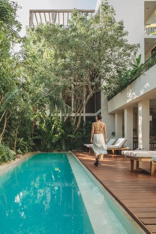 Lucky Duck Dt Hotel Tulum