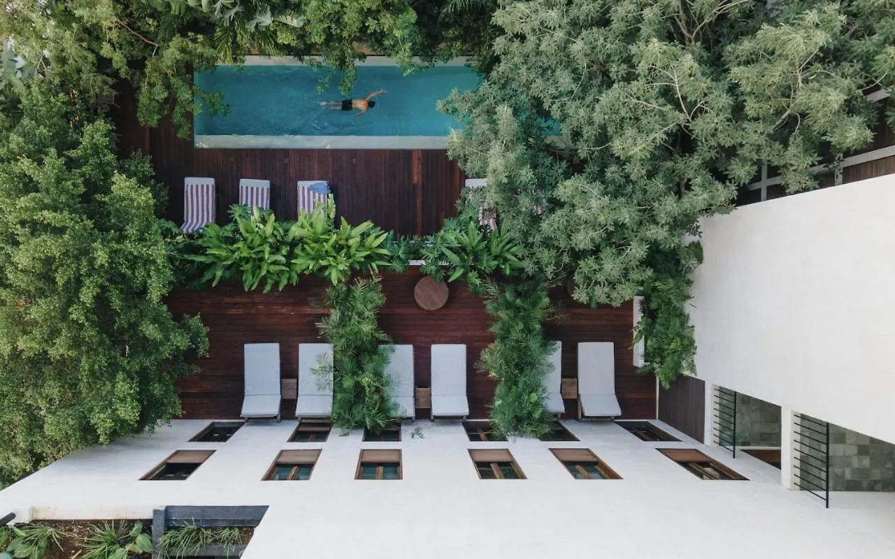 Lucky Duck Dt Hotel Tulum
