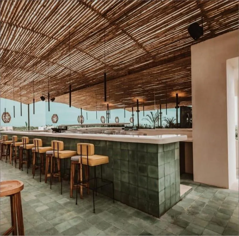 Lucky Duck Dt Hotel Tulum